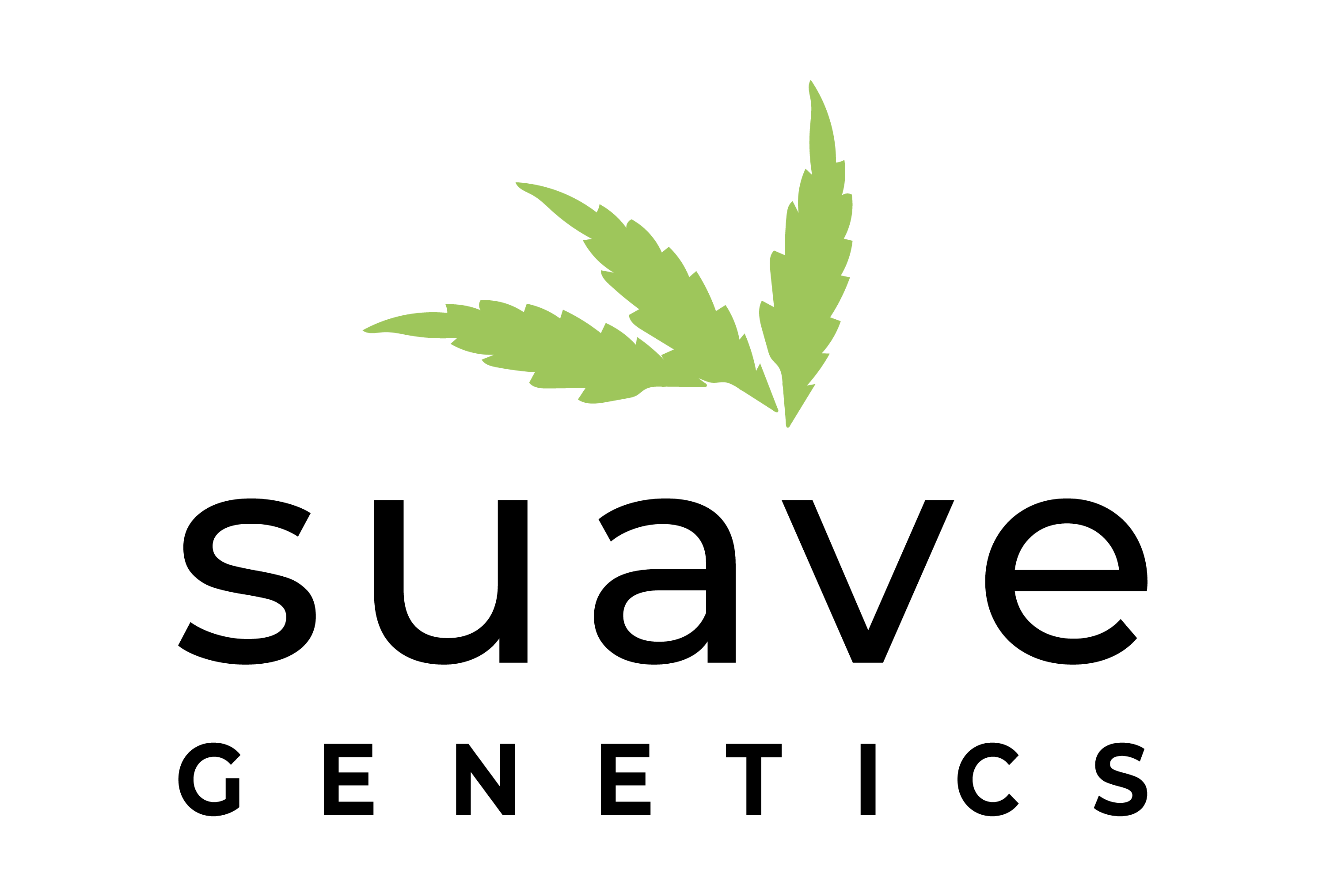 Suave Genetics